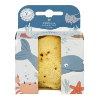 Croll and Denecke Natural Silk Sponge for Babies